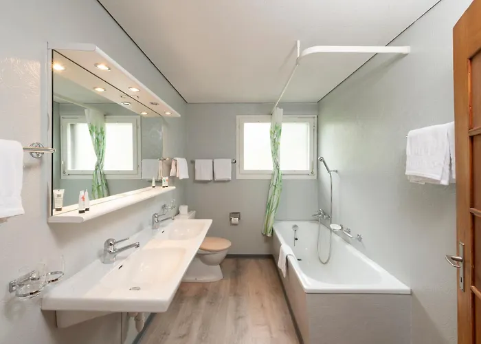 Cpm Apartment Grindelwald